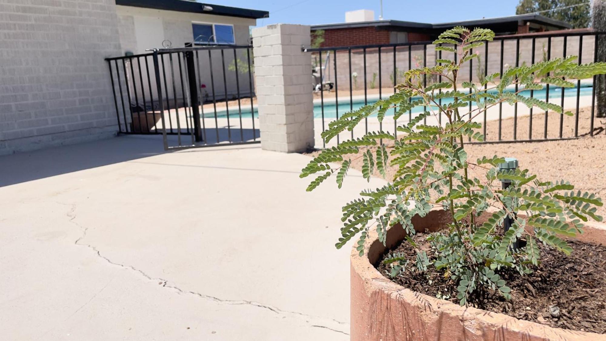 Private Home - Heated Pool, Billiards, Darts, Foosball, Fireplace, 5 Smart Tvs, Bbq, Cotton Bedding - The Saguaro Sanctuary, Pool Heat Optional Tucson Exterior photo